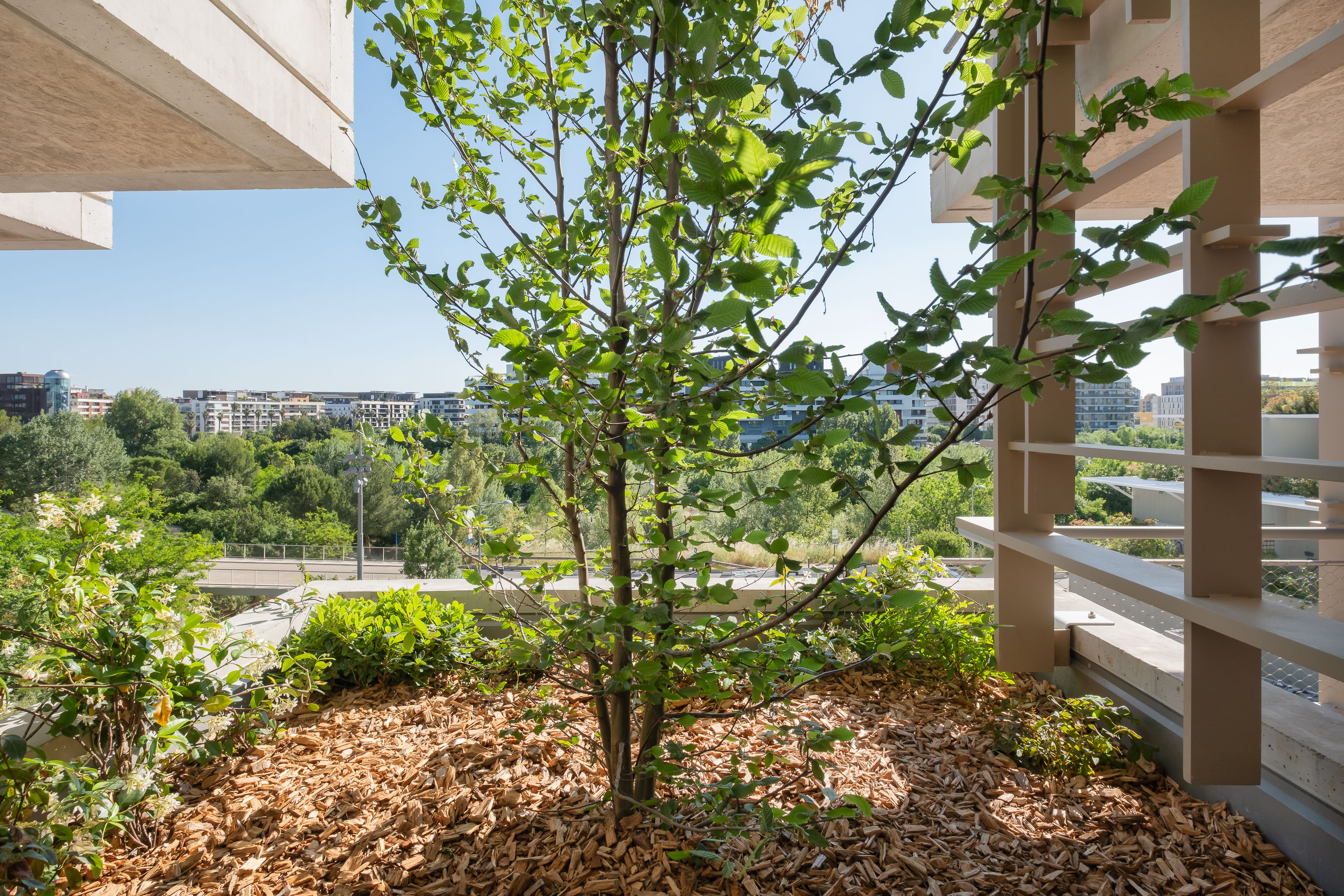 La végétalisation 1