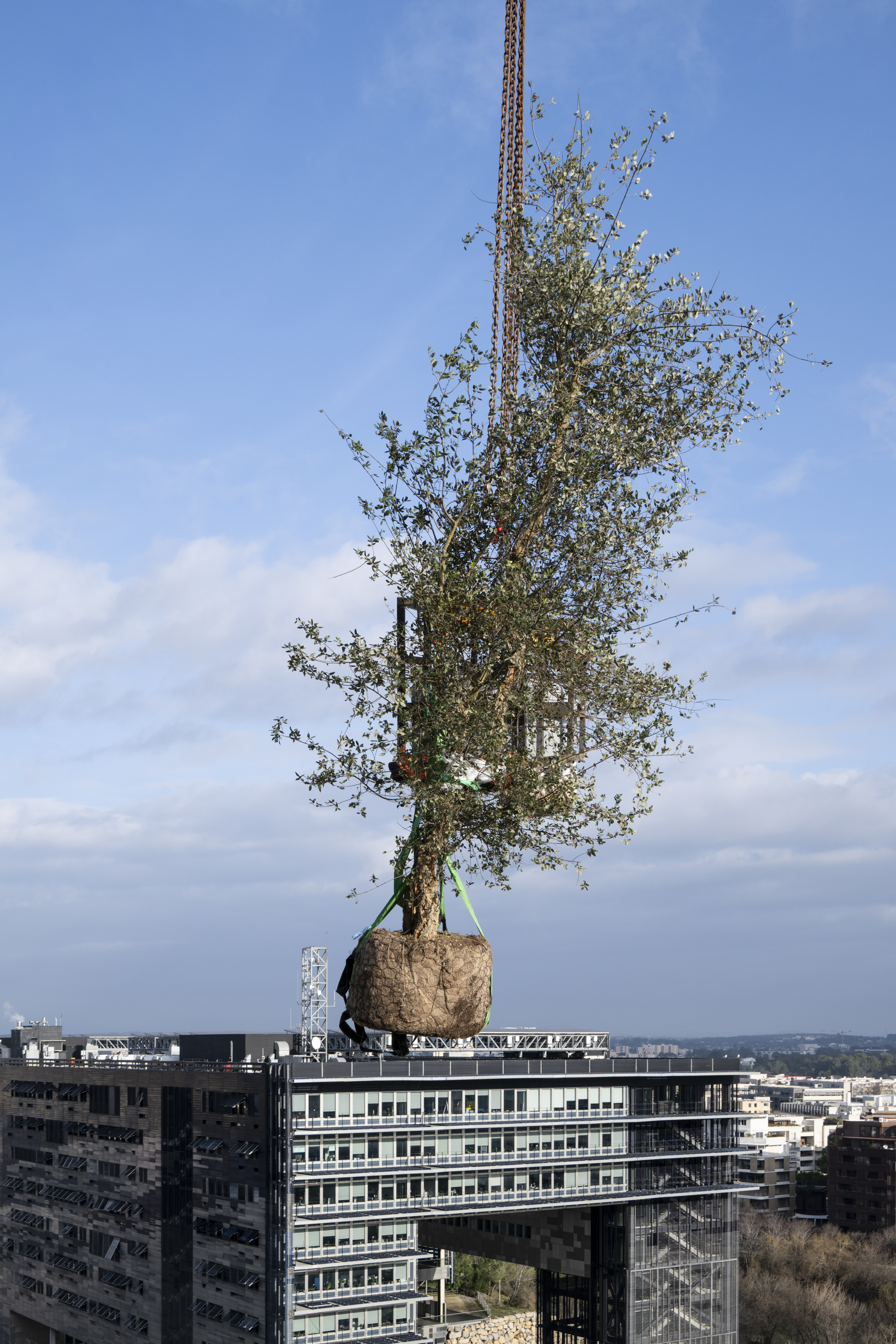 La végétalisation 11