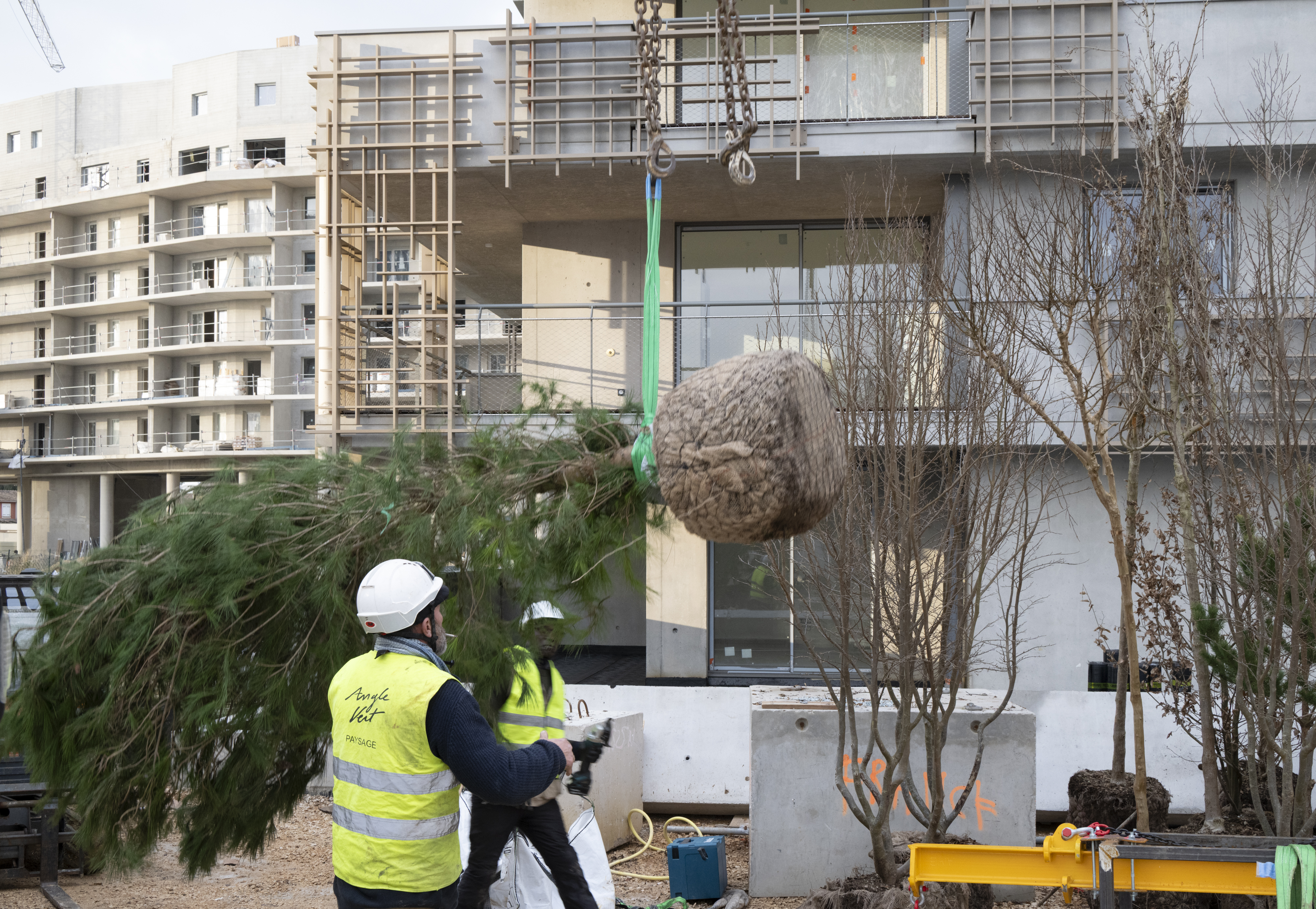 La végétalisation 12