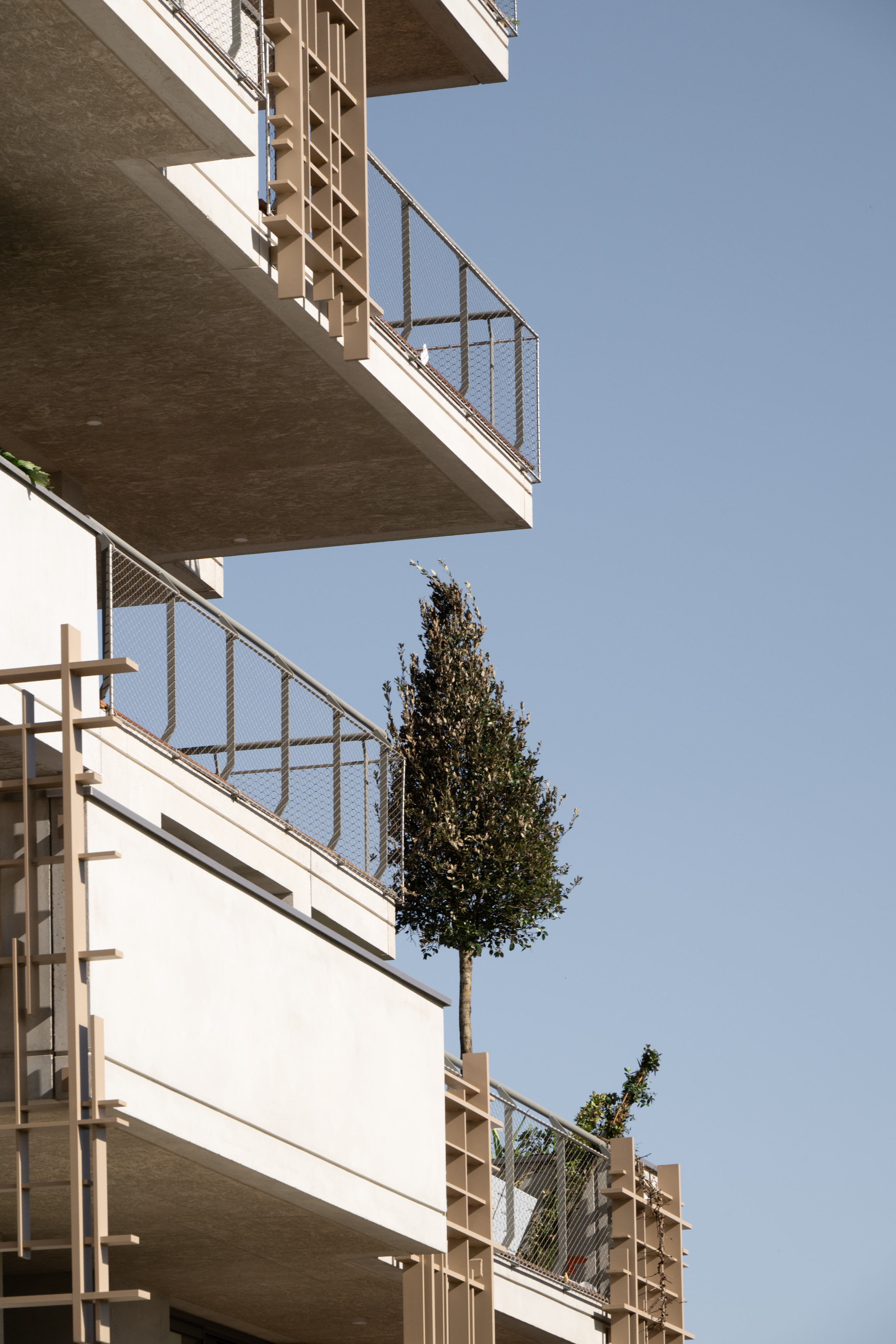 La végétalisation 13