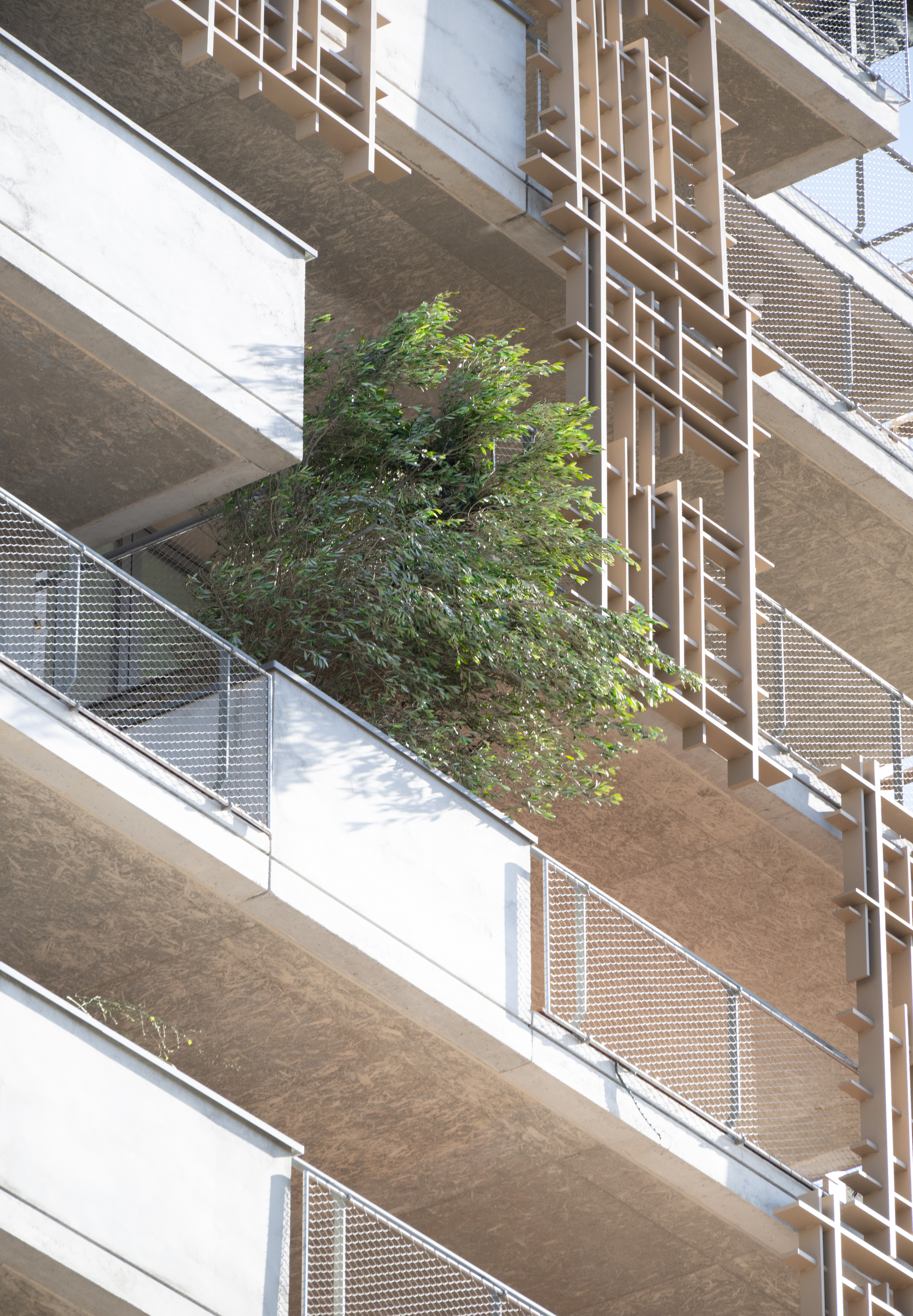 La végétalisation 14