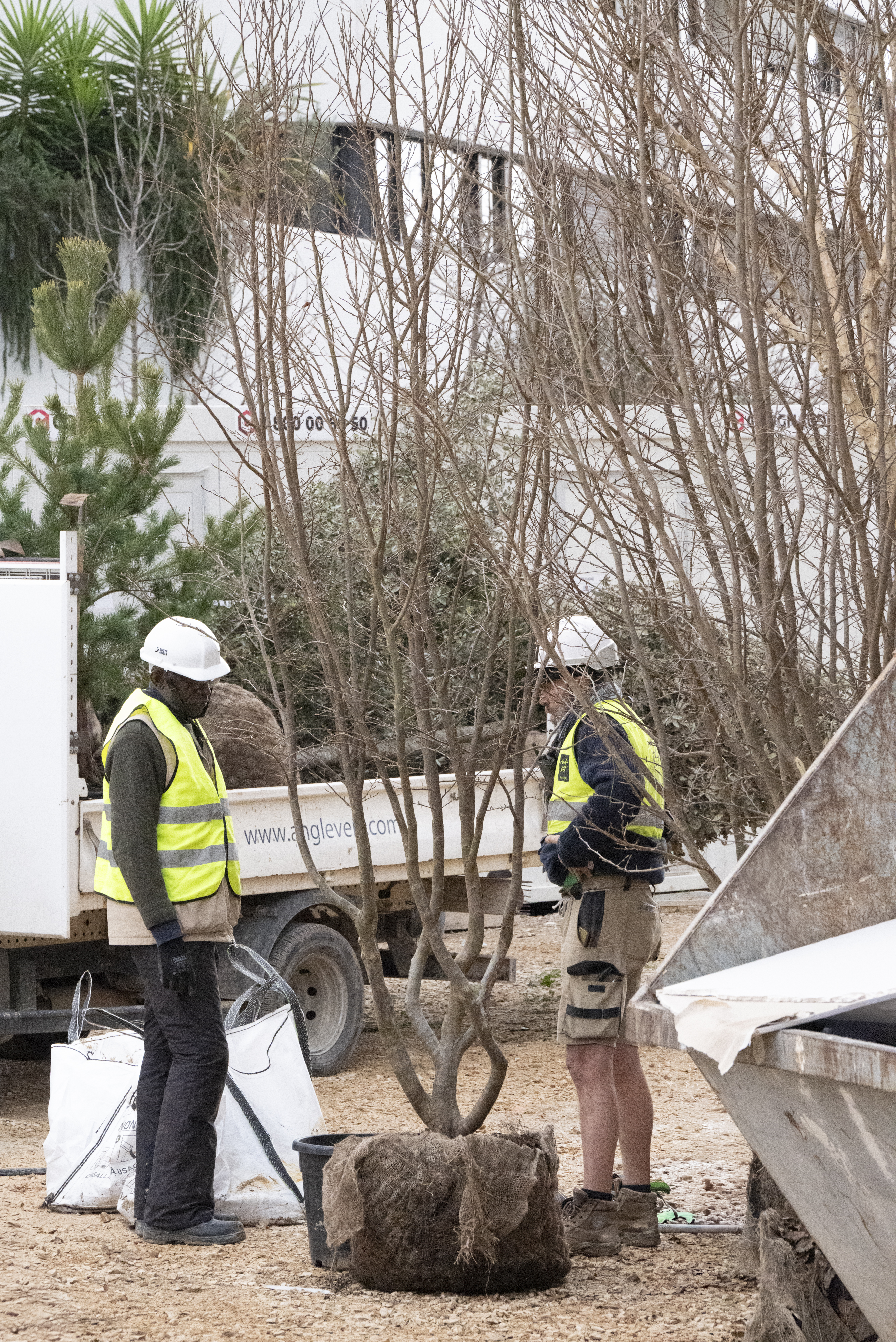 La végétalisation 15