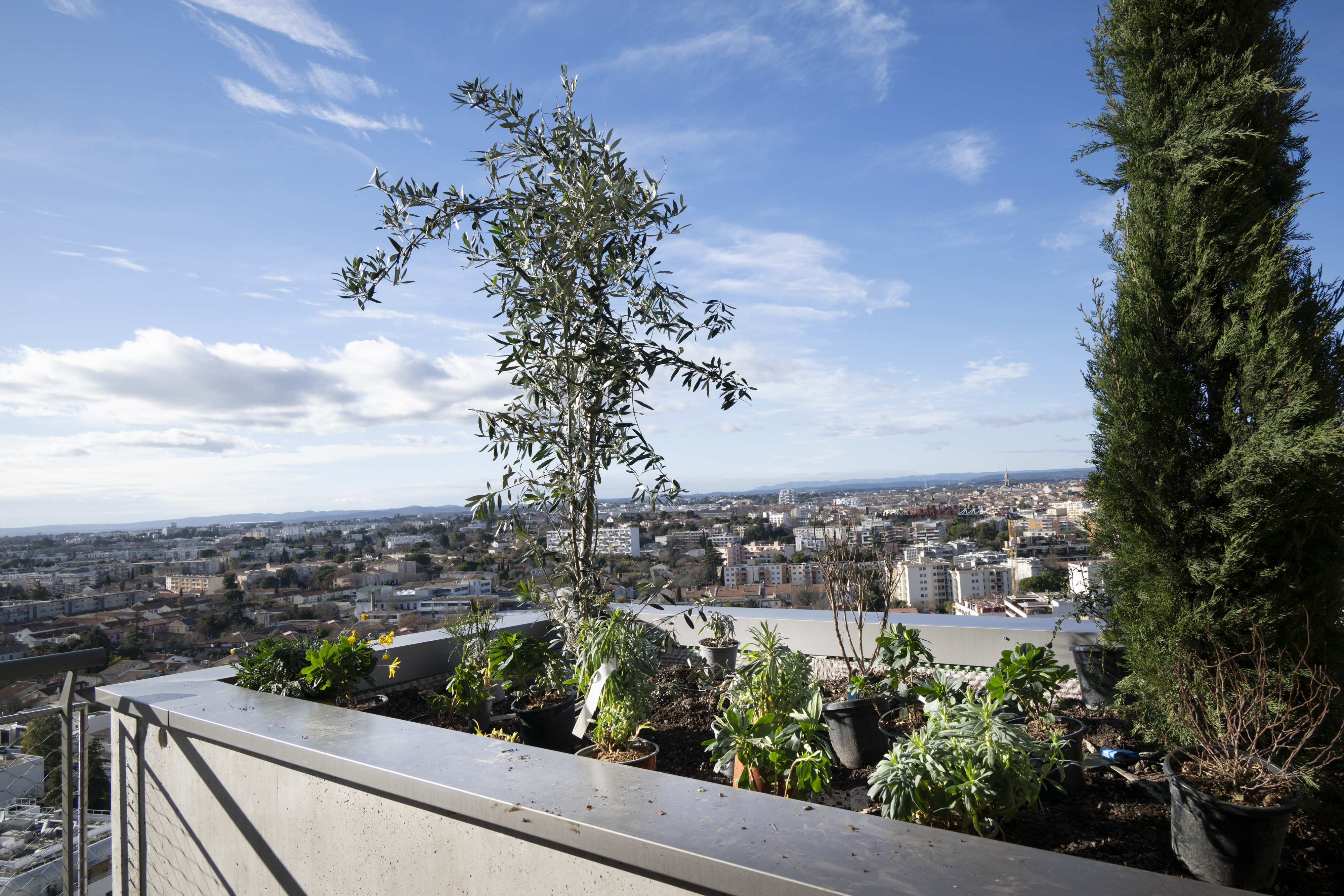 La végétalisation 17