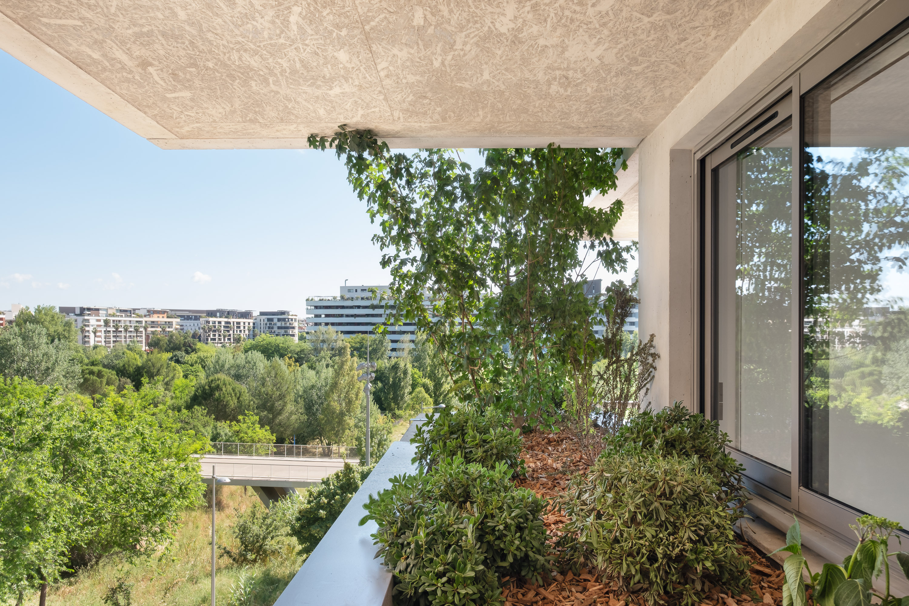 La végétalisation 2