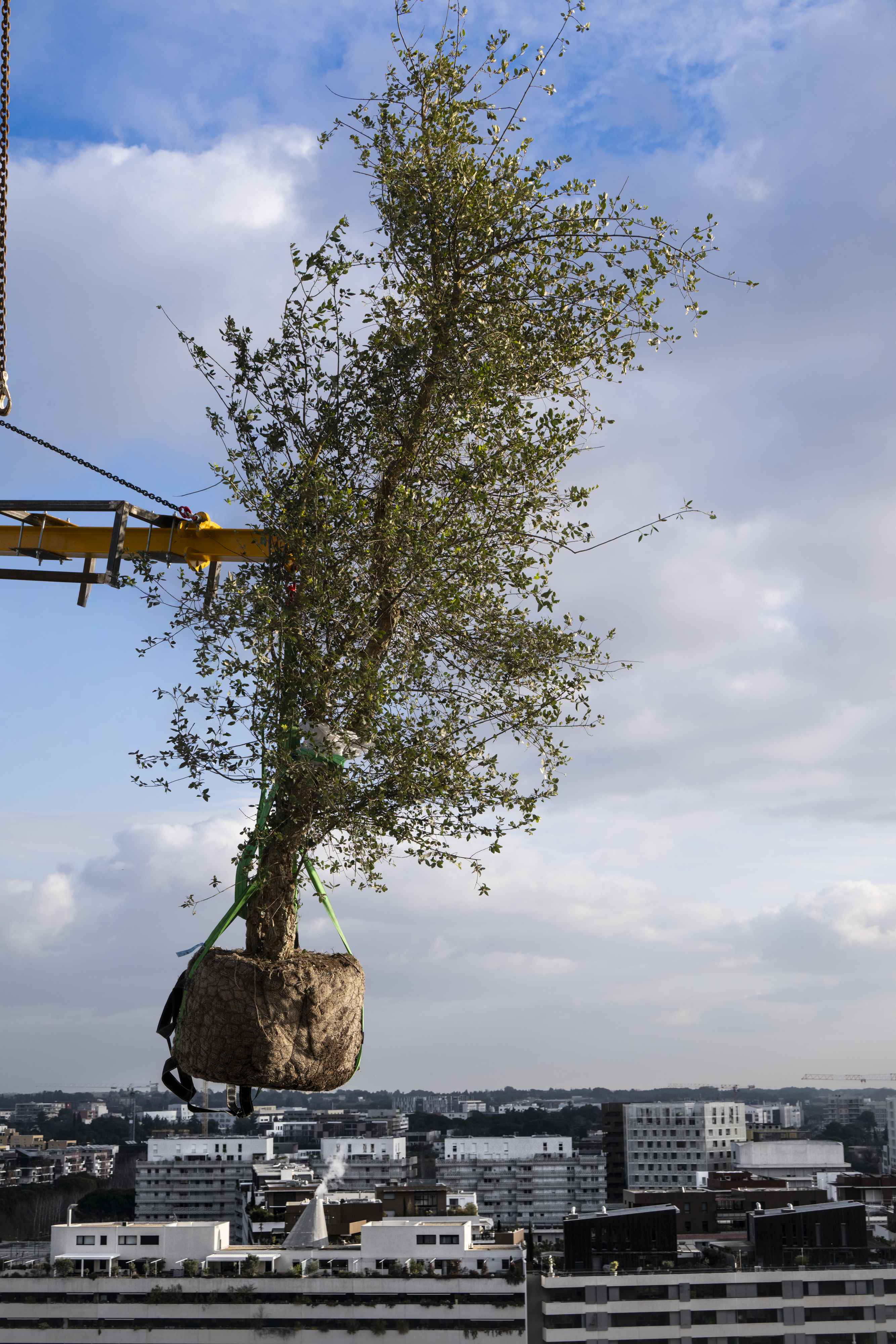 La végétalisation 3