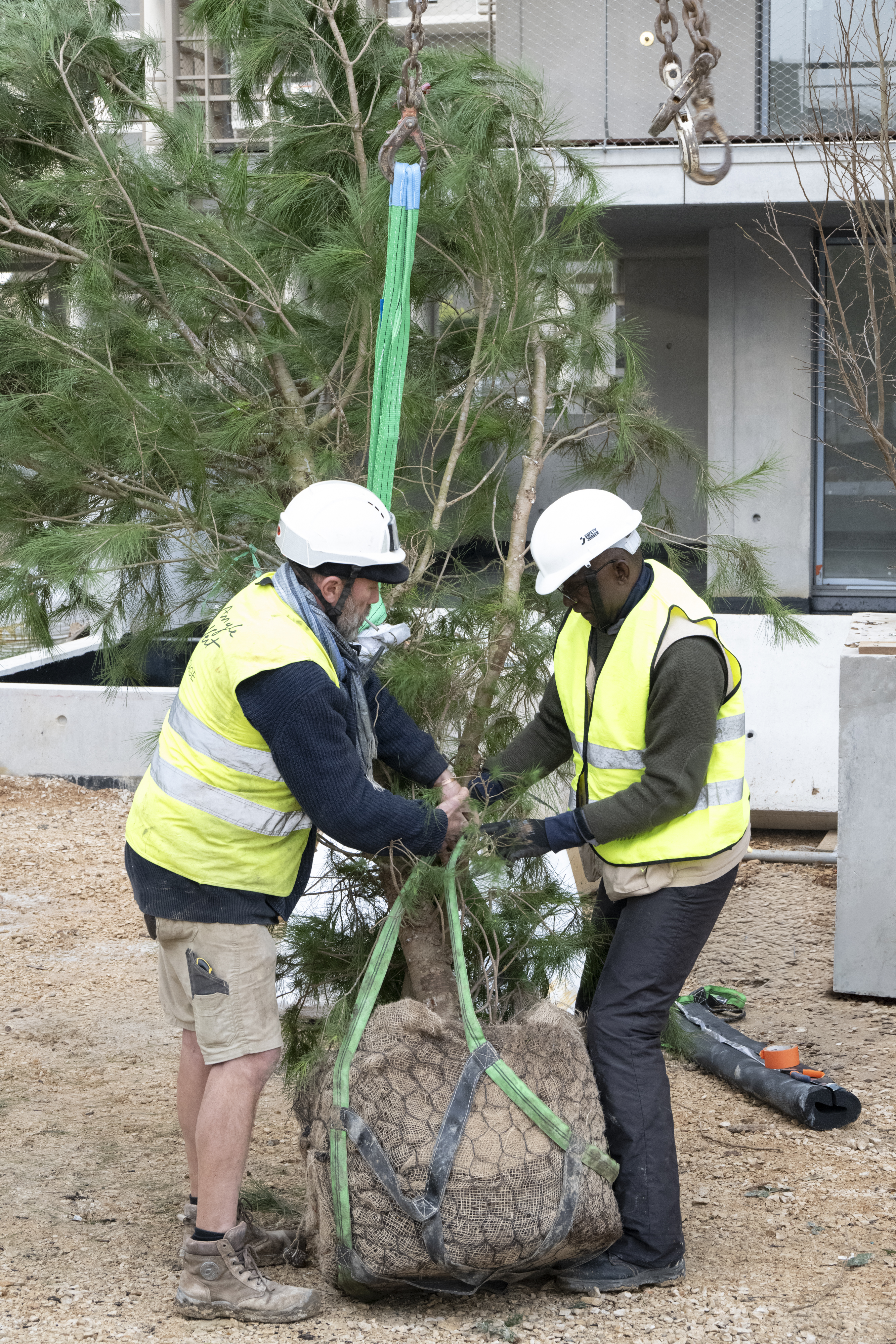 La végétalisation 4