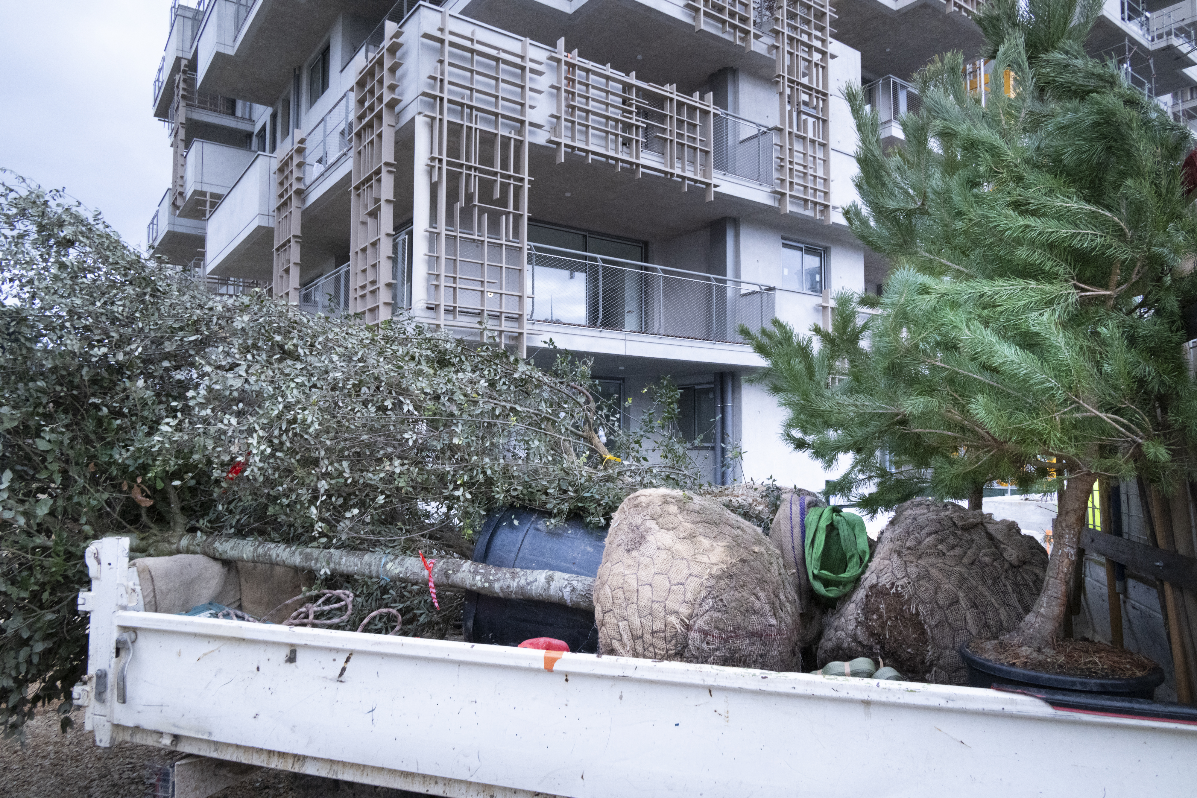 La végétalisation 5