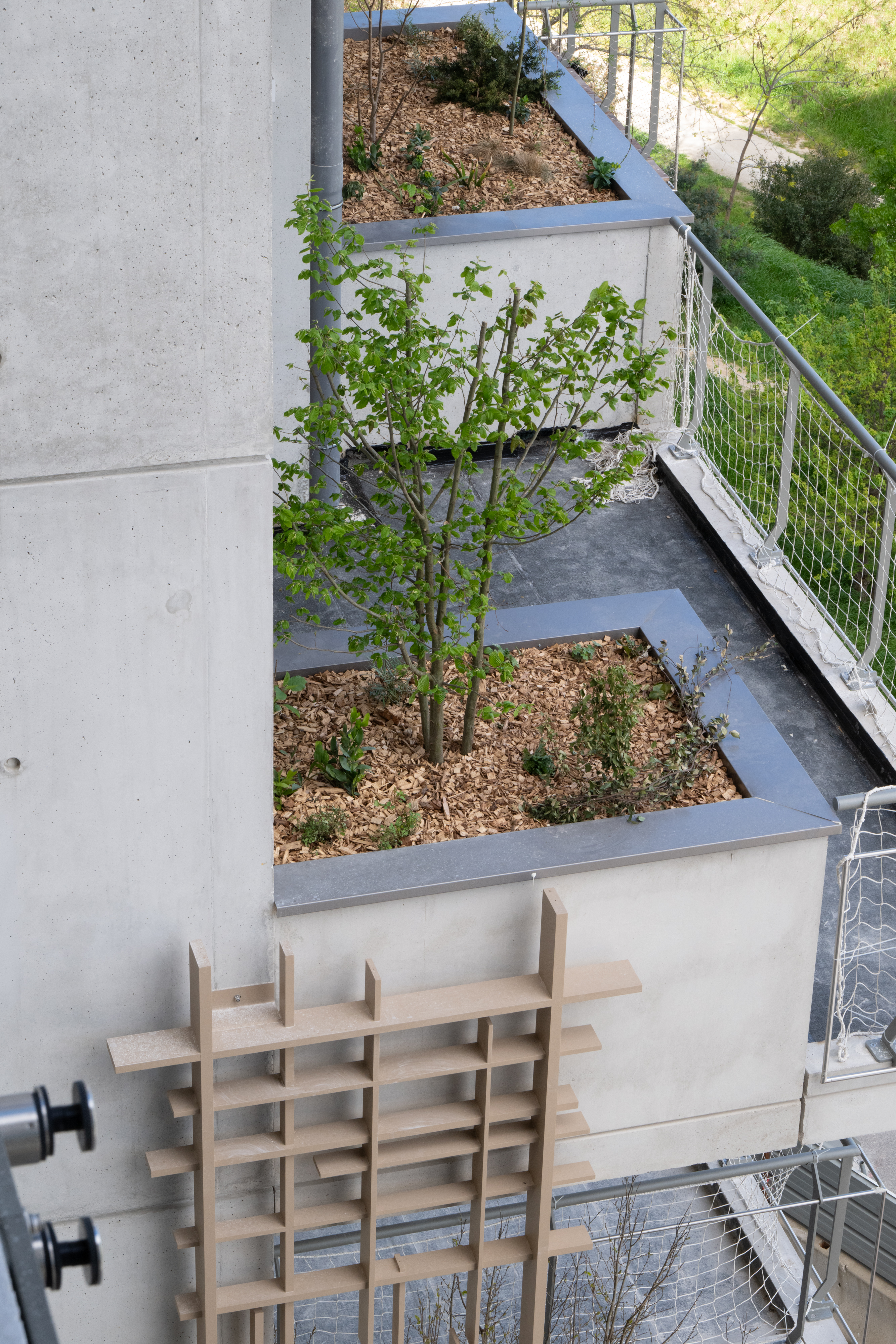 La végétalisation 6