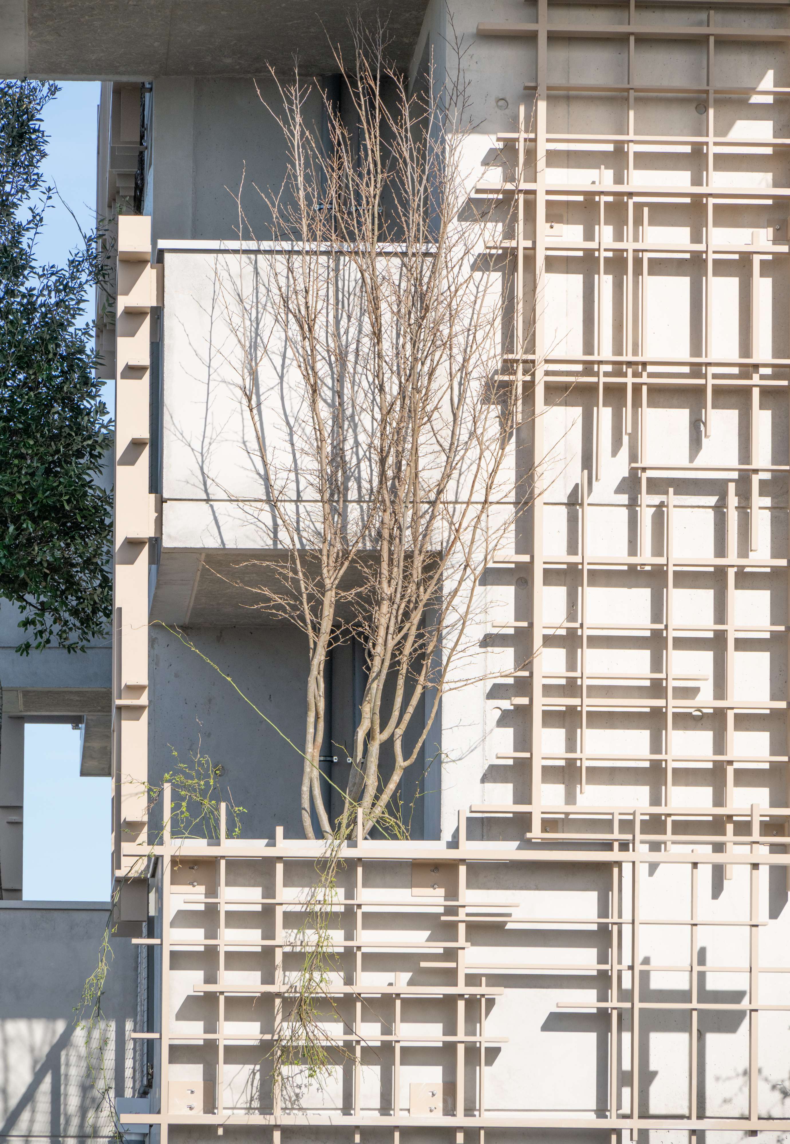 La végétalisation 7