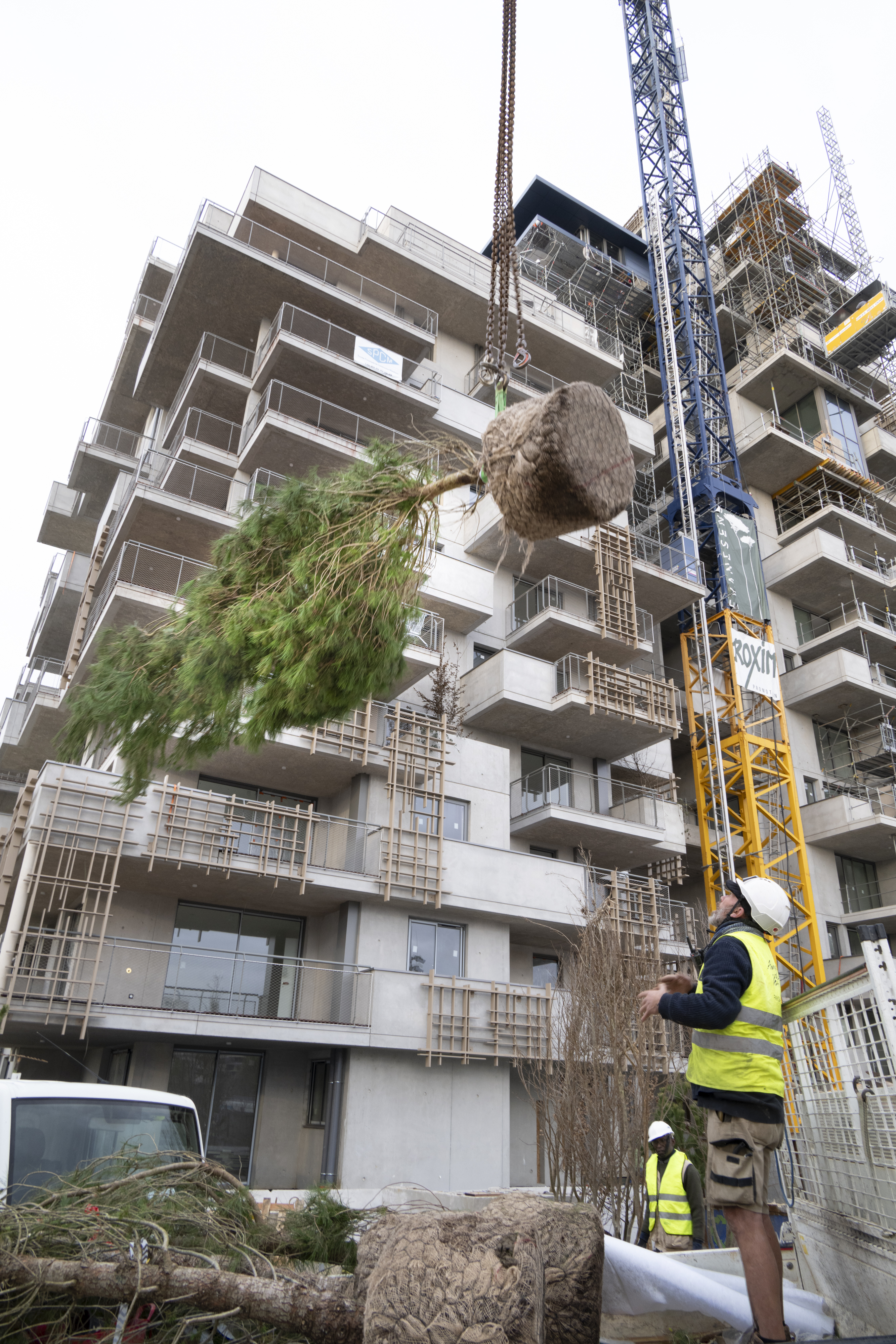 La végétalisation 8