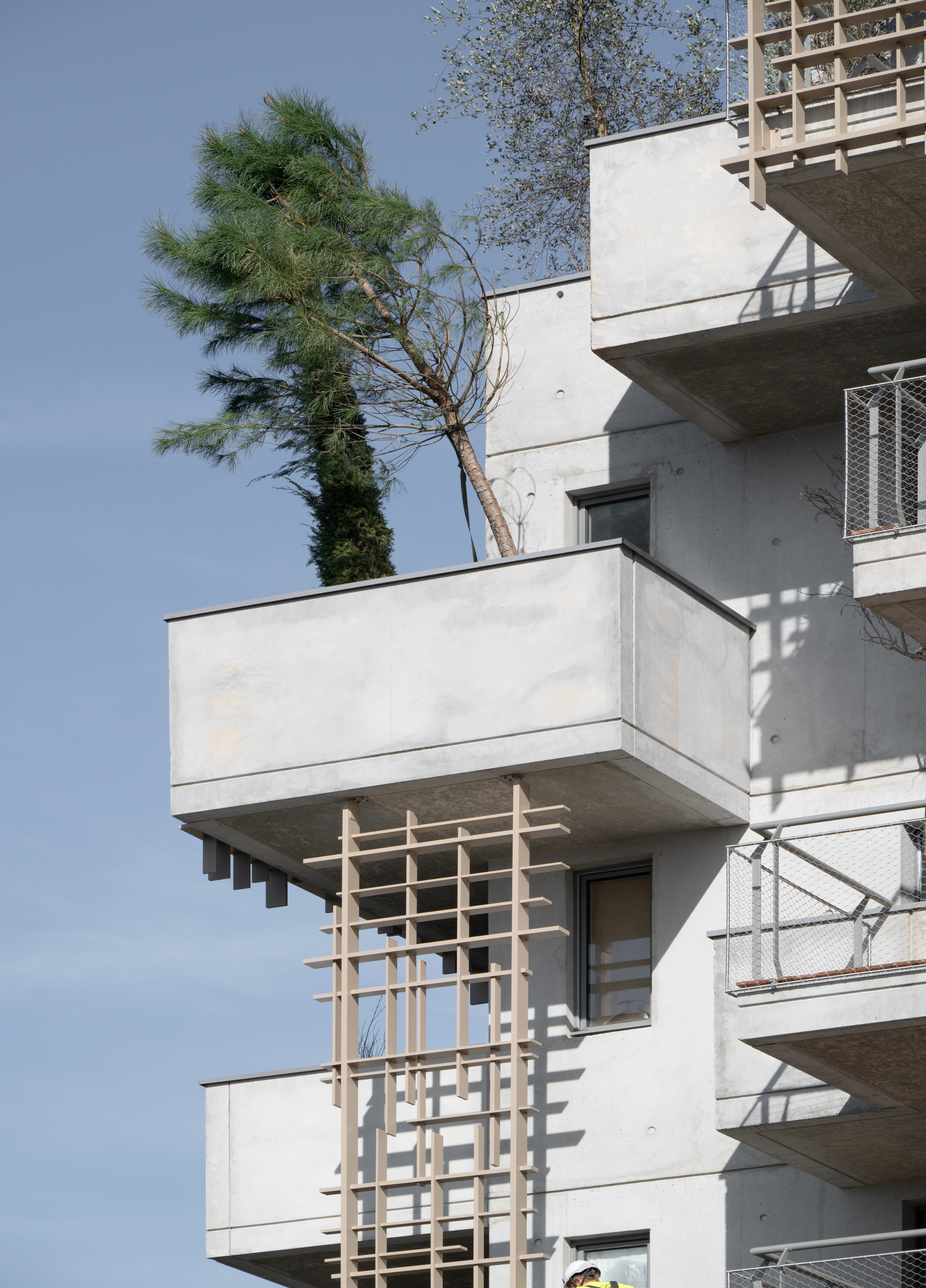 La végétalisation 9